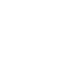 lightning icon